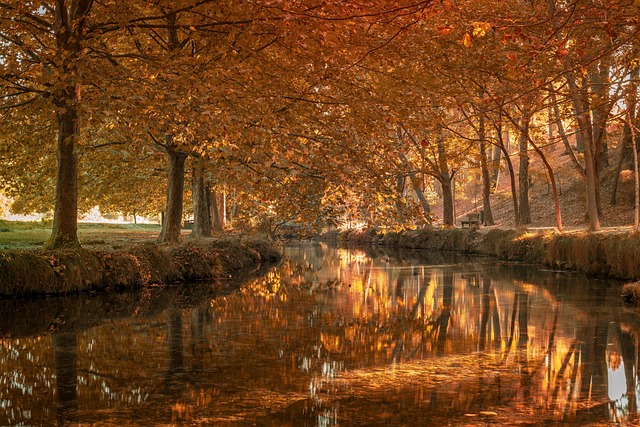 equipo de formación en pensamiento estratégico reunido en oficina de Madrid